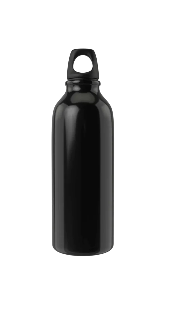 Stainless Steel Bottles