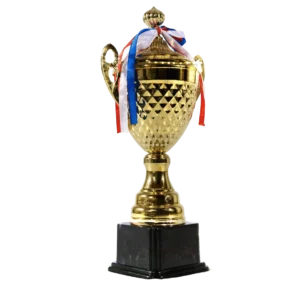 Best Player Award