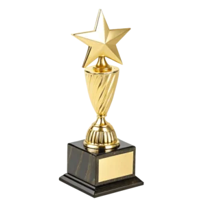 Star Brass Award