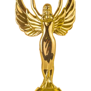 Fly Oscar Award